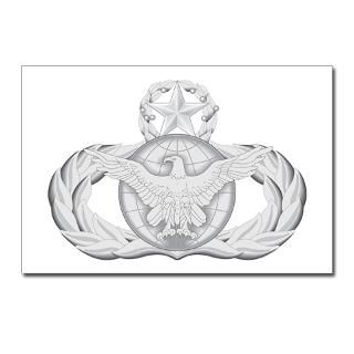 Air Force Security Badge, Version 2, Command Level  The Air Force