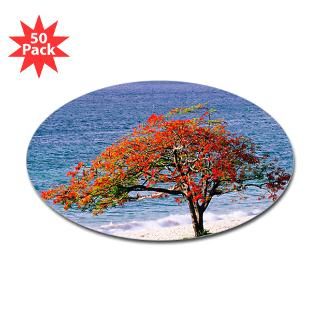 Flamboyant tree   Decal for $140.00