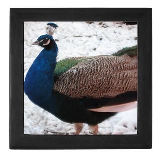 Peacock in Snow Keepsake Box