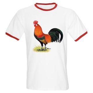 Red Junglefowl Rooster  Diane Jacky On Line Catalog