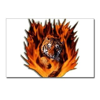 Flaming Tiger Postcards (Package of 8) for $9.50