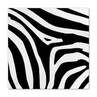 zebra print queen duvet $ 164 99