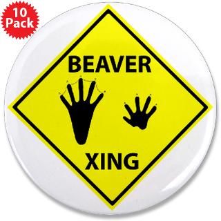 Beaver Crossing  Trackers Tracking and Nature Store