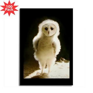 baby wesleytheowl rectangle magnet 100 pack $ 170 99