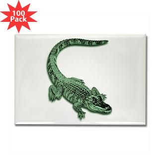 florida alligator rectangle magnet 100 pack $ 189 99