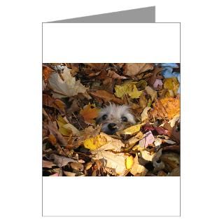 Cairn Terrier Greeting Cards  Buy Cairn Terrier Cards