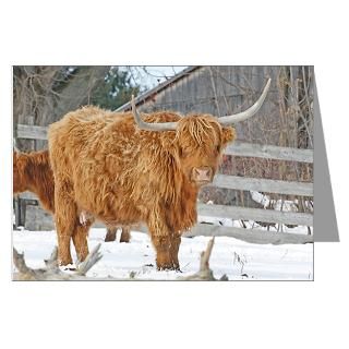 Scottish Highland Cattle Gifts & Merchandise  Scottish Highland