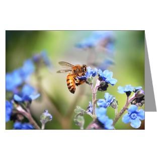 Forget Me Not Greeting Cards  Buy Forget Me Not Cards