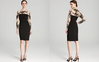 David Meister Long Sleeve Dress   Embroidered Lace Illusion_2