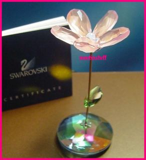 Swarovski Crystal Rocking Flower Kay Rose BNIB Inner and Outer Boxes