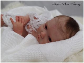 Kellie Donnelly Brand New Reborn Doll Kit Now in Stock Phil Donnelly