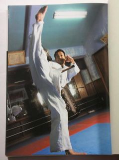 Kenji Midori shin kyokushin karate book manga Martial Arts mas oyama