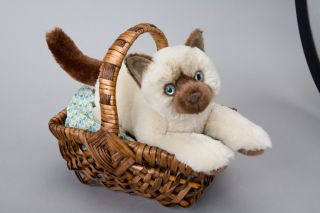 Toys 14 Tsering Sealpoint Himalayan Cat Kitten Stuffed Animal