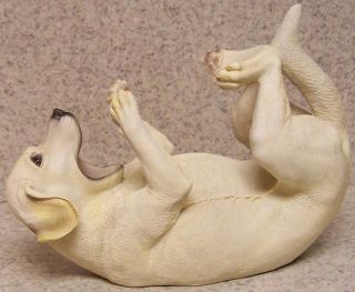 and or Decorative Sculpture White Lab Labrador Retriever New