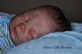 Reborn Doll Newborn Baby Boy Marita Winters Ltd Ed Cheries Little