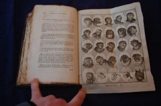 C1800 Whole Works of Lavater Physiognomy Plates 4 Vol Set