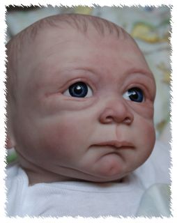 New Release Reborn Liam OOAK Doll Lifelike Art Artist Baby Boy Denise
