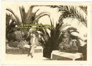 1920s Photo California CA Hollywood Yamashiro Japanese Gardens Foo Dog