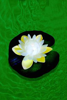 White Water Lily + Green Leaf + 7C color changing LED