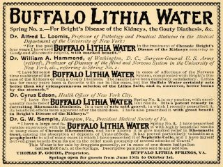 1895 Ad Buffalo Lithia Springs Drinking Water Medicinal   ORIGINAL
