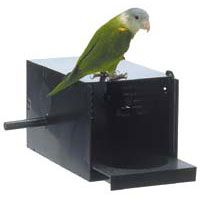 Hagen Parakeet Love Bird Nesting Breeding Box