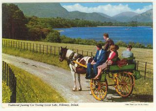 Horse Traditional Jaunting Car Lower Lake Killarney Ireland Vintage
