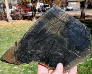 Utah Picasso Marble Slab 435 grams Specimens Rock Jasper Agate Mineral