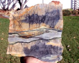 Utah Picasso Marble Rock Mineral Cab Slabs Gems 5 lb Chunk Lapidary