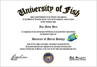 Marine Biology Diploma Marine Biologist Lover Diploma