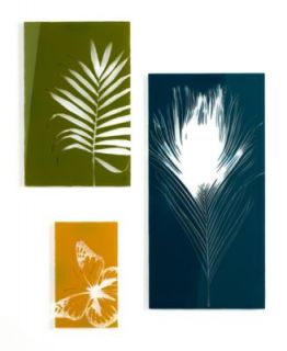 Umbra Wall Decor, Set of 3 Papila Shadowboxes   Wall Art   for the