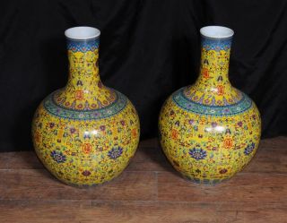 Pair Chinese Porcelain Vases Hand Painted Ming Potter