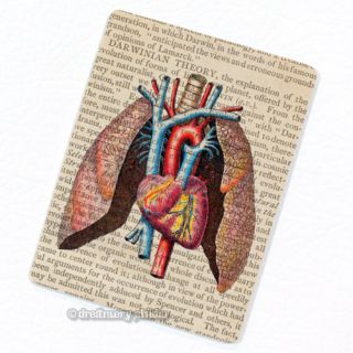 Heart & Lungs Deco Magnet; Vintage Anatomy Medical Illustration