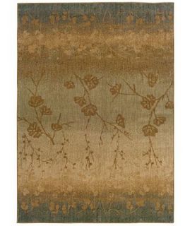 MANUFACTURERS CLOSEOUT Sphinx Area Rug, Perennial 1125B 78 X 1010