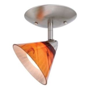 NEW 1 Light Ceiling Spot Lighting Fixture, Brushed Nickel, Amber Honey