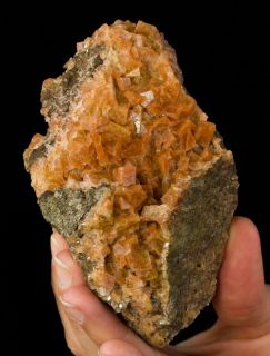 Orange Chabazite Crystals Wassons Bluff Nova Scotia for Sale