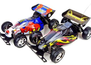 Savage x Buggy RC 2WD 1 16 Electric Radio Remote Control RTR Off Road