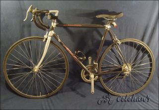 Vintage Specialized Epic Allez Carbon Fiber Road Bike