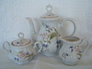 Bareuther~ Demi Tasse or Tea Pot Set w Creamer, Sugar, 6 Cups Saucers