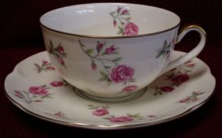 Haviland China Delaware Pattern Cup and Saucer Set