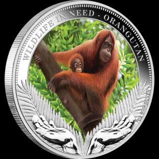 Tuvalu 2011 1$ Orangutan Wildlife in Need Proof Silver Coin
