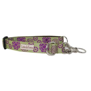Lola & Foxy Dog Martingales   	Thistle   Training   Collars, Harnesses & Leashes