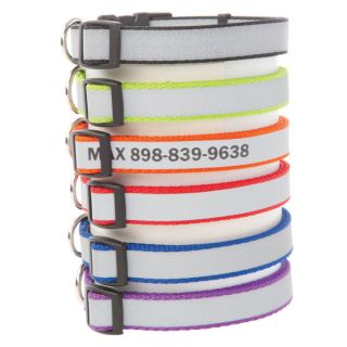 Coastal Pet Products Personalized Reflective Plain Dog Collars for Dogs   Summer PETssentials   Dog