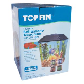 Top Fin BettaScene 1 Aquarium Kit   Sale   Fish