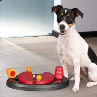 Interactive Dog Toys and Accessories