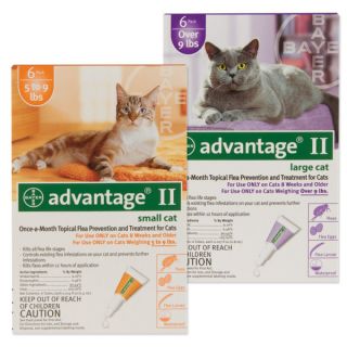 Advantage II Cat 6 Pack   Sale   Cat