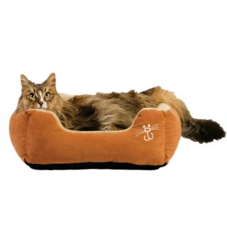 Cat Beds and Traditional Pet Beds