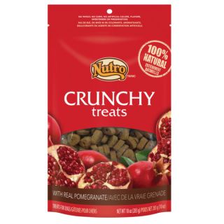 NUTRO Crunchy Treats with Real Pomegranate   Treats & Rawhide   Dog
