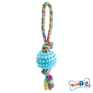 Dog Toys From Fetch Toys to Rope to Puzzle Toys