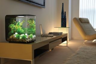 Neu biOrb Flow Acryl Design Aquarium Schwarz 30l