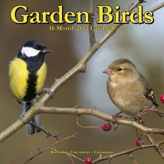 Kalender 2012 Gartenvögel   Garden Birds Avonside
